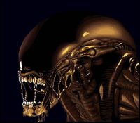 une photo d'Ã©cran de Alien 3 sur Nintendo Super Nes